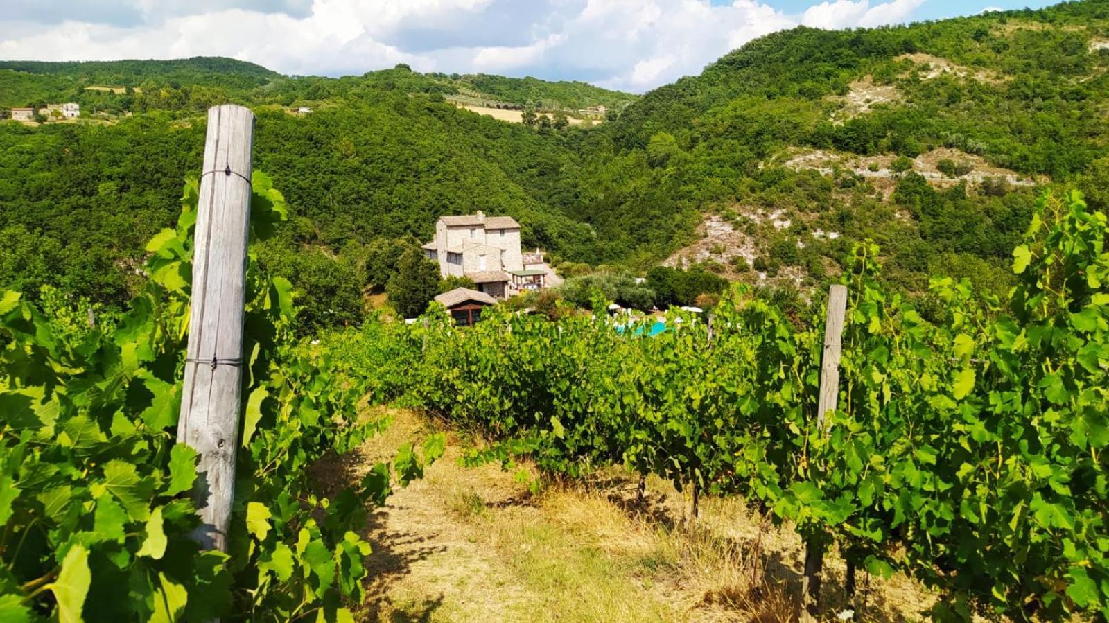 Aparthotel Re Artu Assisi Country Lifestyle Exterior foto